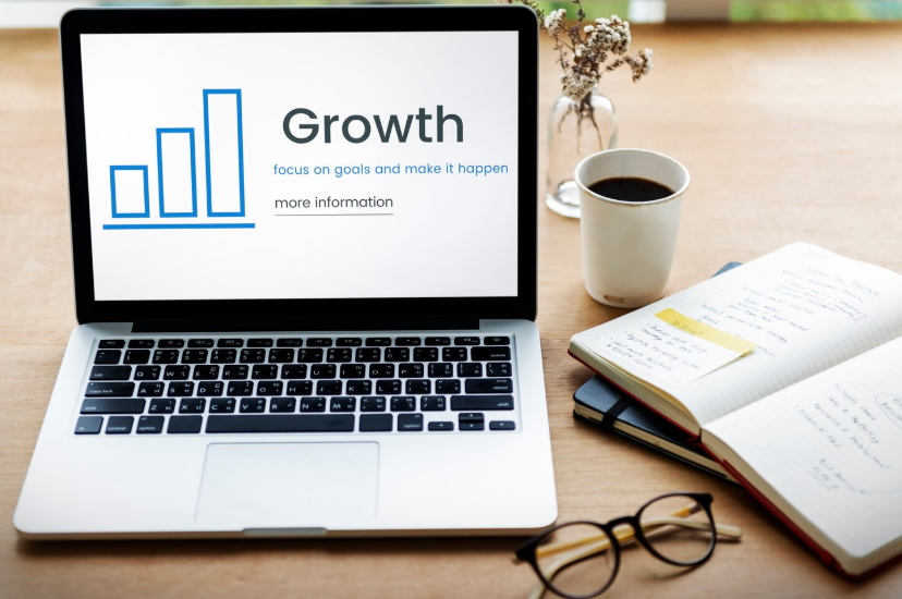 digital growth consulting systems and scalable business strategy